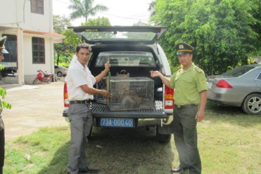 Receipt of rare wild animals to rescue